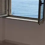Petra Marina Aurora *